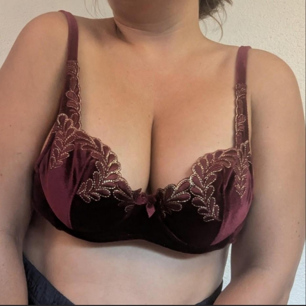 vintage Victoria's Secret Velvet And Embroidered 2001 Push Up Bra